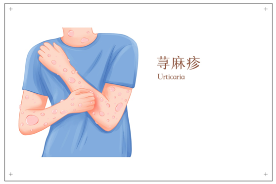 1-230R1101313Y1 1-230R1101313Y1